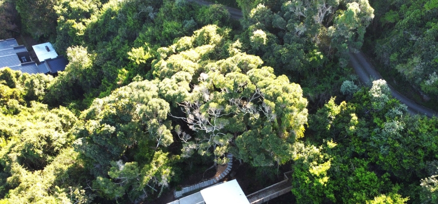 Commercial Property for Sale in Wilderness Central Western Cape